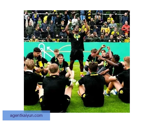 德甲强队名单分析：拜仁慕尼黑、多特蒙德等团队持续发挥稳定表现